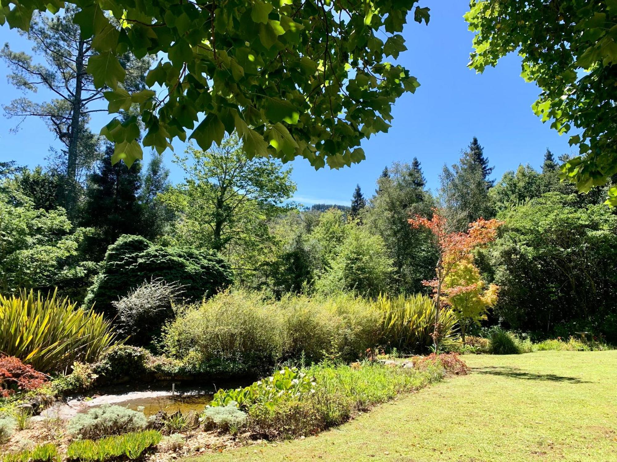Back O' The Moon Holiday Cottage Hogsback Buitenkant foto