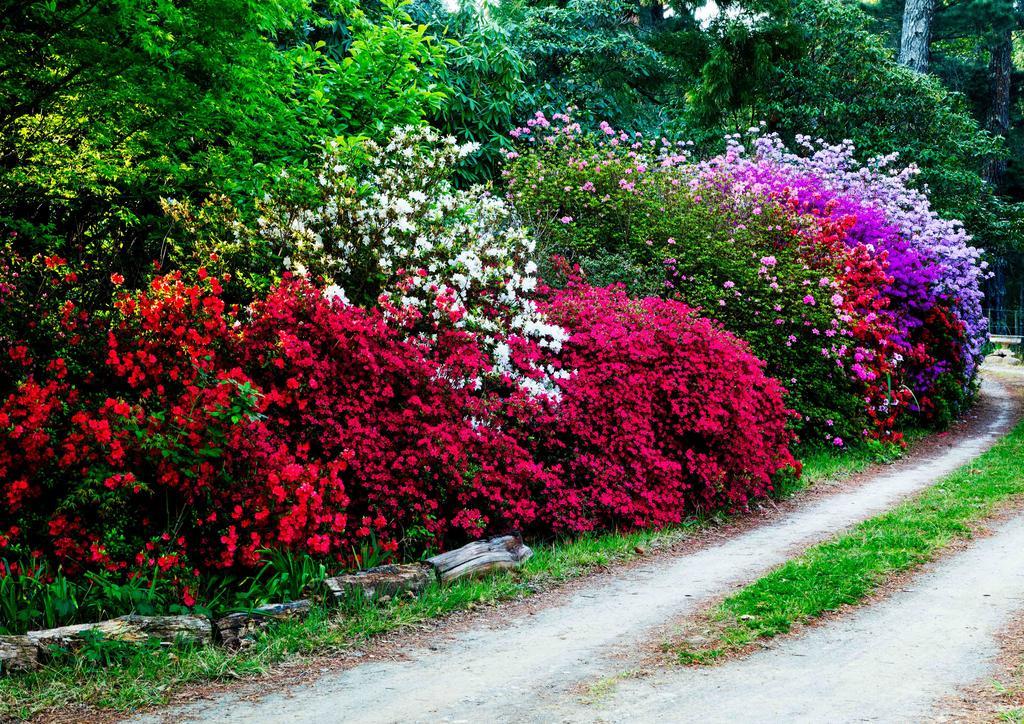 Back O' The Moon Holiday Cottage Hogsback Buitenkant foto